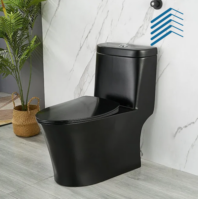 Black Ceramic One Piece toilet