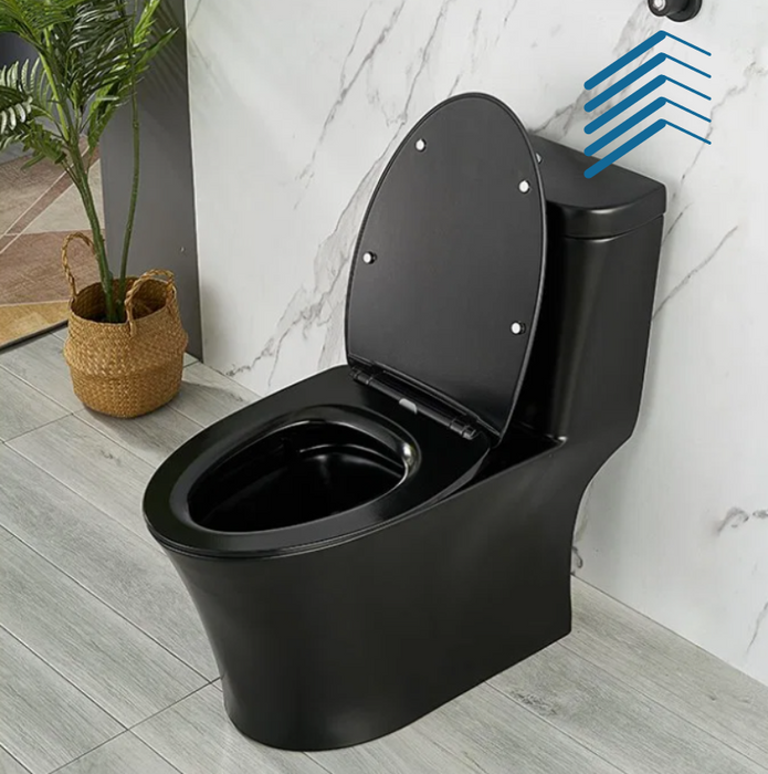 Black Ceramic One Piece toilet