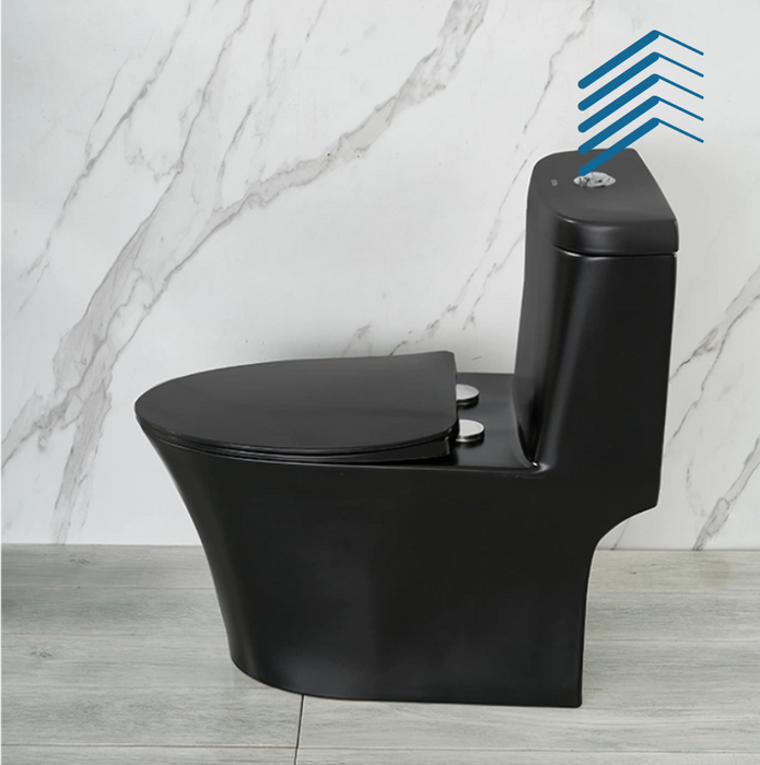 Black Ceramic One Piece toilet